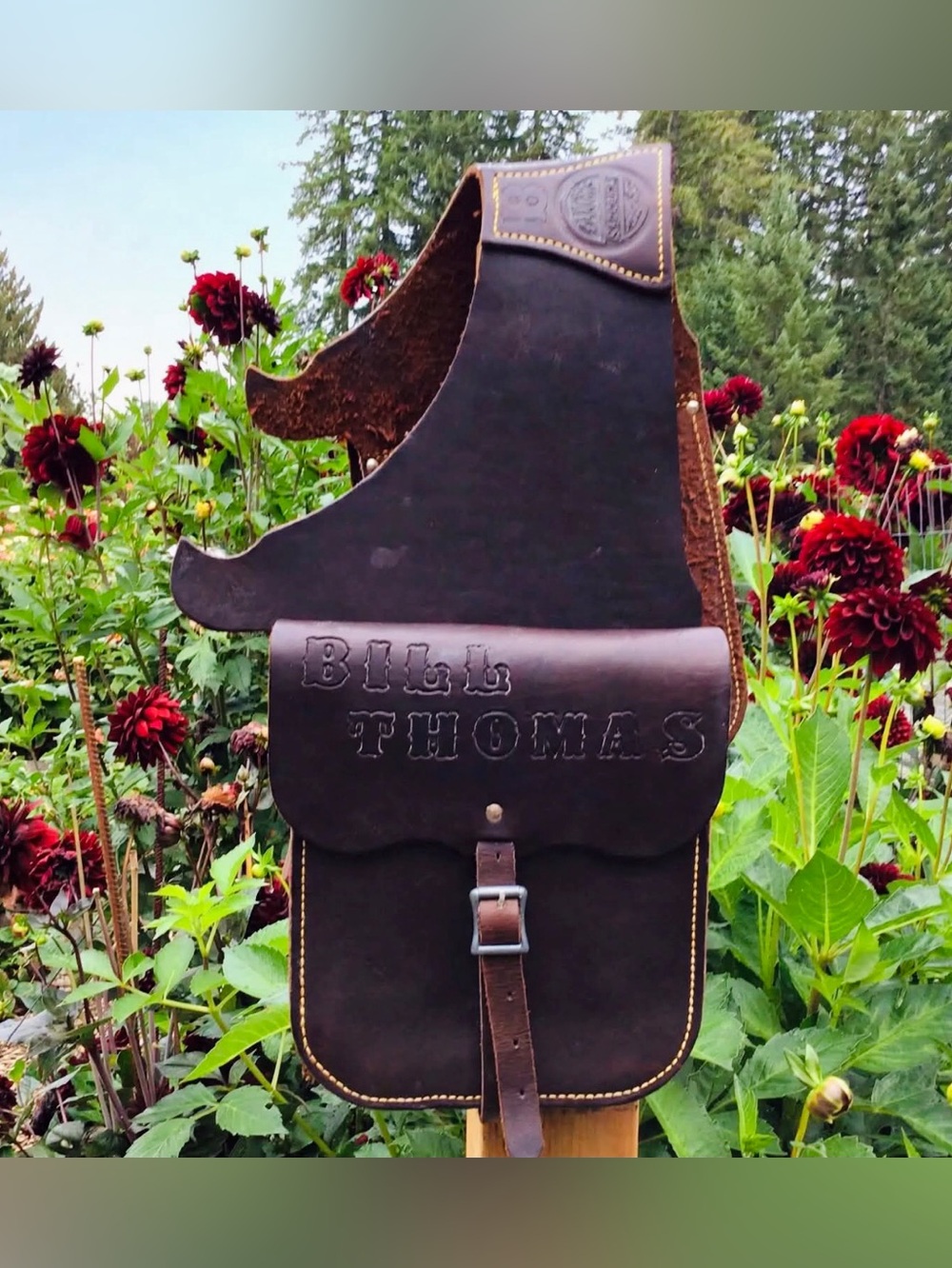 Saddlebags by 🇨🇦 Eamor’s Saddlery